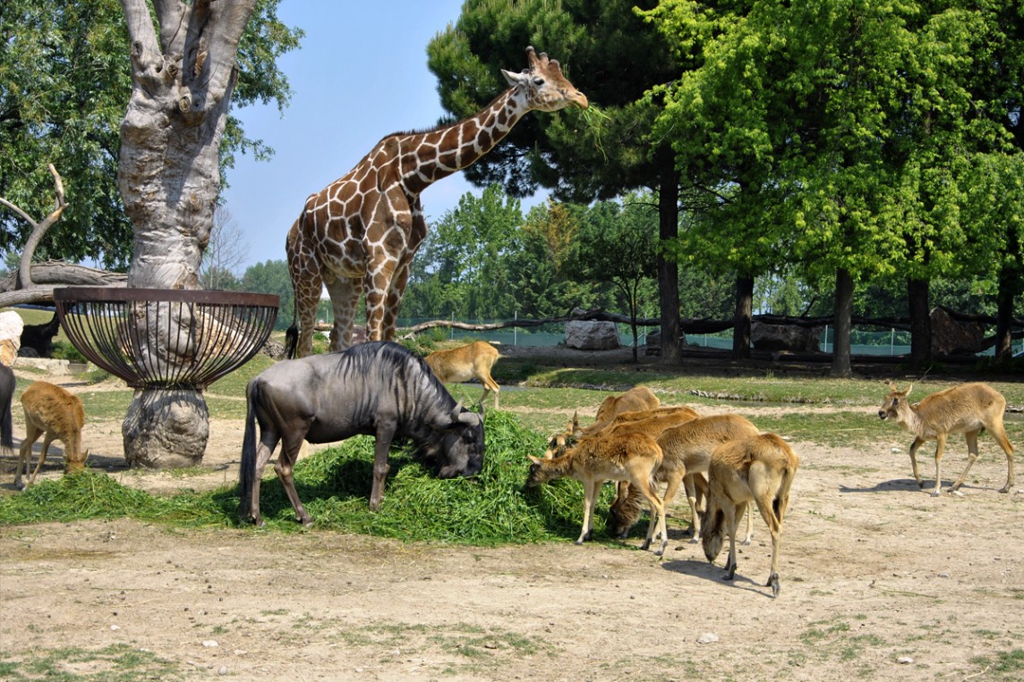 Parco_Natura_Viva